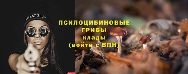 герыч Арсеньев