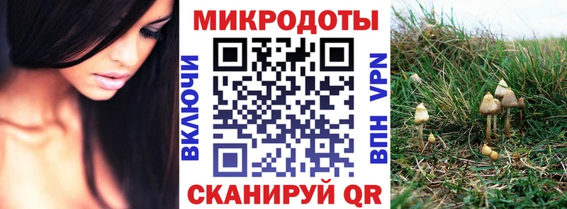 KRAKEN зеркало Баймак Псилоцибиновые грибы Psilocybine cubensis
